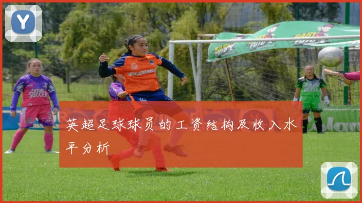 英超足球球员的工资结构及收入水平分析