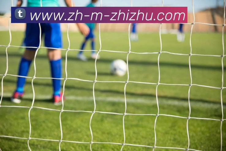 蜘蛛直播APP 封面图